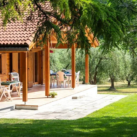 Degli Ulivi Holiday home