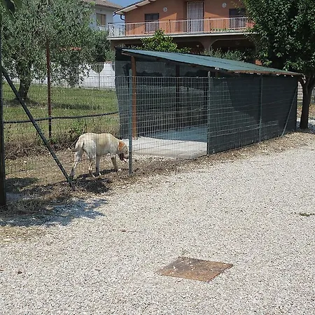 Holiday home Degli Ulivi