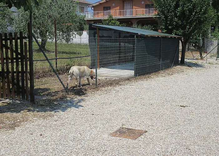 Ferienhaus Degli Ulivi